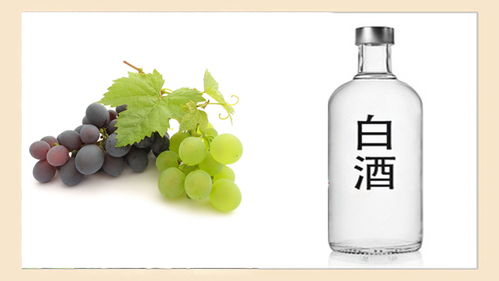 酒桌上“千杯不倒”的秘密，快來看看你知道幾個